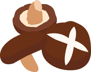 シイタケ Photos Royalty Free Images Graphics Vectors Videos