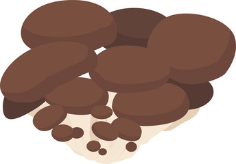 イラスト素材　ひらたけ　きのこ　キノコ　山菜　秋　料理　ベクター