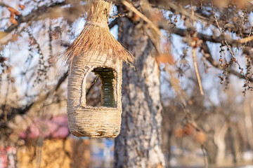 a bird feeder made of thread and a plastic bottle hangs in the Park on a tree