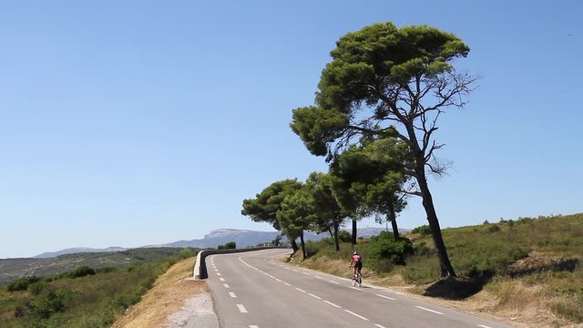 CUERS, FRANCE - AUGUST 8, 2012: Cyclist on the road of Provence.