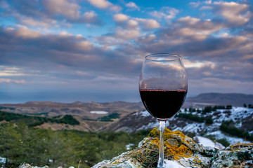 Wine glass on the nature