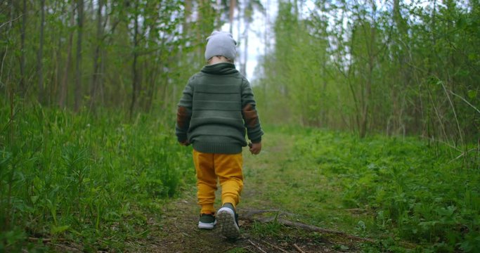 A 2-year-old Caucasian boy walks in slow motion along forest paths in a pine forest. Walks in the Park. Adventures of a young Explorer, explore the world. The camera follows the boy.