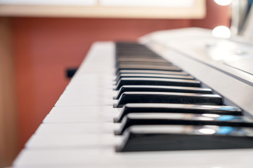 Close-up white and black keys of a synthesizer. The piano.