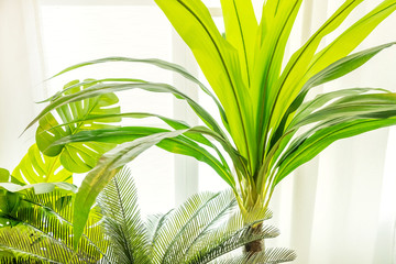 Beautiful artificial plants decoration in house or cafe window. Close up