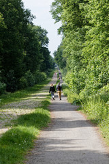 Fototapeta premium balade arenberg