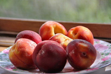 Peaches on a plate in summer on a sunny day in the village.