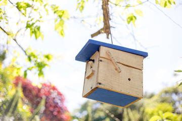 bird house