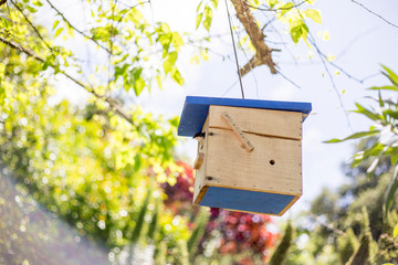 bird house