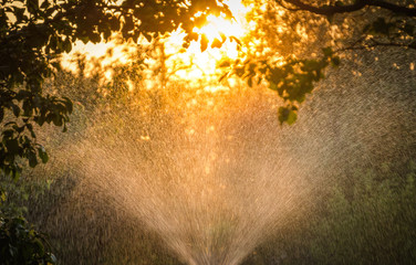 Old village watering system in spring evening garden