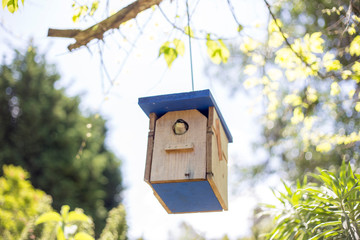 bird house