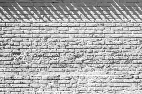 wall of white painted brick with a shadow from the roof of tiles