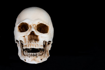 Grinning Skull
