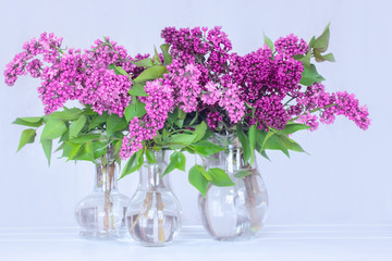 lilac bouquets in glass vases close-up. background with lilac bouquets.