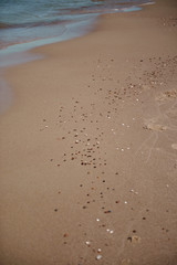Kamienie na plaży oraz falaShells and stones on a beach