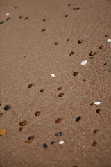 Fototapeta na wymiar Close up of shells and stones on a beach