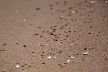 Shells and stones on a beach © 4Media Creations