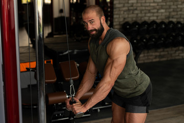 Fototapeta na wymiar Triceps Exercise On Machine In A Gym