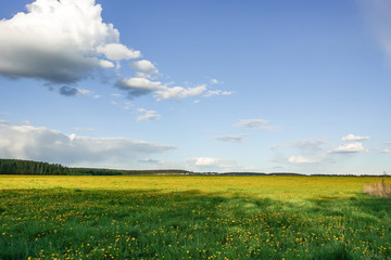 Beautiful countryside landscape. Green field and blue sky with beautiful clouds. Russia