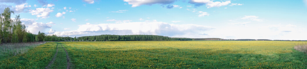 Beautiful countryside landscape. Green field and blue sky with beautiful clouds. Panoramic shot