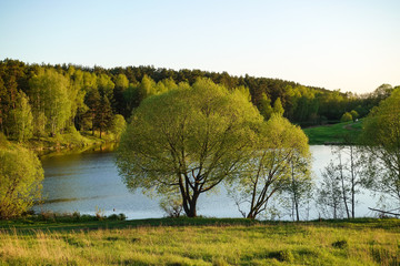 Beautiful countryside landscape. Green meadow and river in the evening. Summer. Russia.