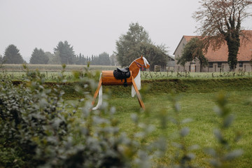 photo of a wooden horse in the garden