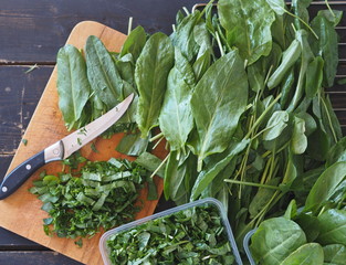 Natural sorrel herbs for cooking various healthy vegetarian dishes.
