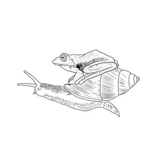 Frog on a Snail