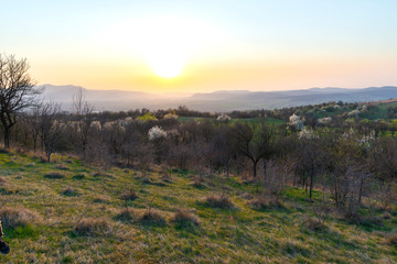 Springtime landscape