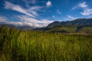 Greenfields in the Drakensberg Mountains in KwaZulu-Natal South Africa