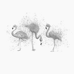 Aquarelle painting of flamingo sketch art pattern illustration