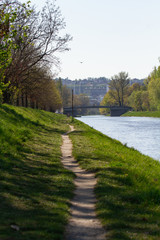 Fototapeta na wymiar river in the park 