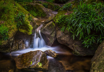 A long exposure stream in a Forest of central Drakensberg South Africa