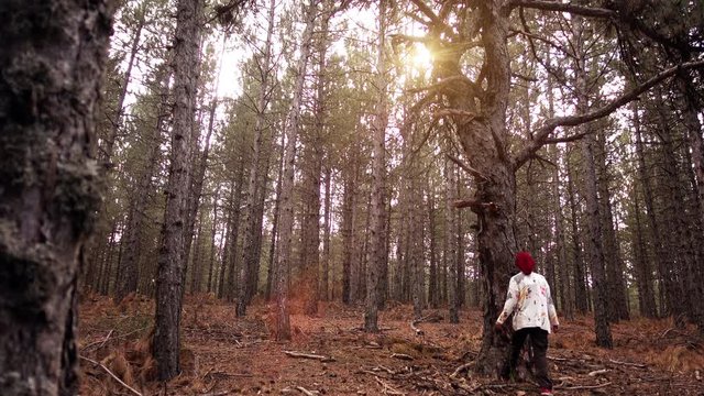Young woman hugs and loves a big tree in forest