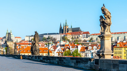 Obraz premium Prague Castle view from Charles Bridge on sunny spring morning, Praha, Czech Republic