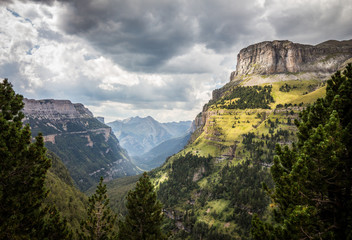 Landscape with mountains and green forest in summer