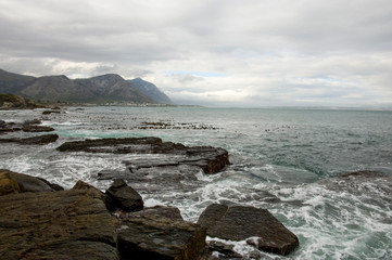 sea and rocks