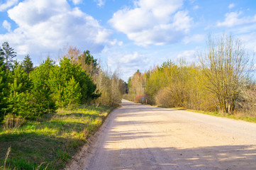 Country sandy road through the summer in the summer