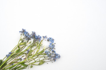 Naklejka premium Closeup of wild pastel flowers on white background