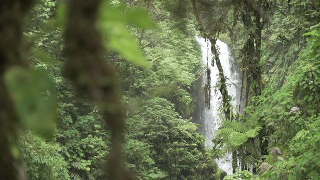 Waterfall, Costa Rica, rain forest, jungle