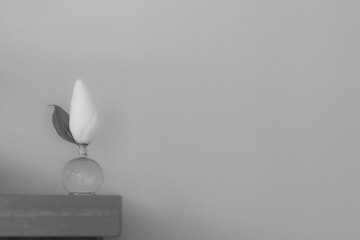Black and white photo of a magnolia flower bud in a small round glass vase on a wooden table