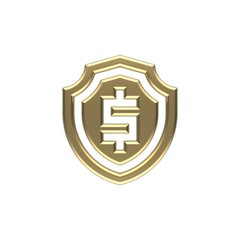 3d image of the money icon gold 20