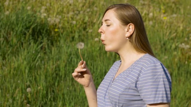 pretty caucasian girl with long hair blows away the dandelion in summer in field