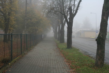 Chodnik we mgle.
