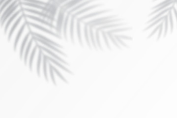 Shadow effects with tropical palm leaves in the corner.