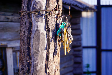 A bunch of keys hanging from a tree on the street.The keys are hanging on a wooden post
