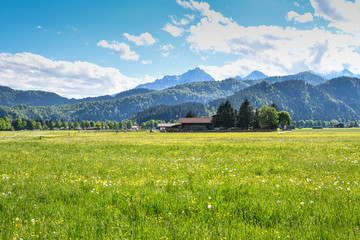 Fototapeta premium Schwangau in den Bayrischen Alpen