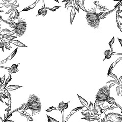 Frame for postcards black and white from leaves and flowers of a thistle on a white background. Minimalistic design for halloween, greeting cards and decoration. Witch flower.