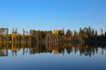 Forest reflecting in the lake water. Wide panorama. Leningrad region, Russia