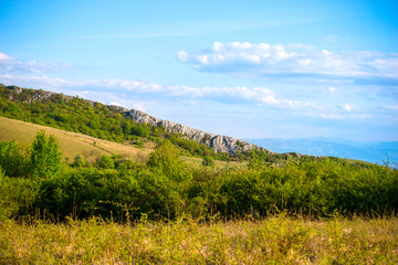 Naklejka premium Sunny day in the springtime