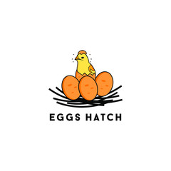 unique eggs hatch and nest chick vector 